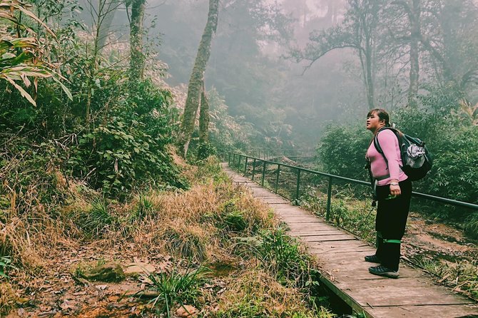 Hiking Fansipan in 1 day - The 6:00 am pickup in Sapa that helps the whole day work