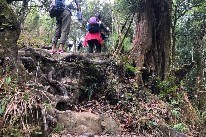 Hiking Fansipan in 1 day - Price and logistics: is $99 good value for a one-day Fansipan trek?