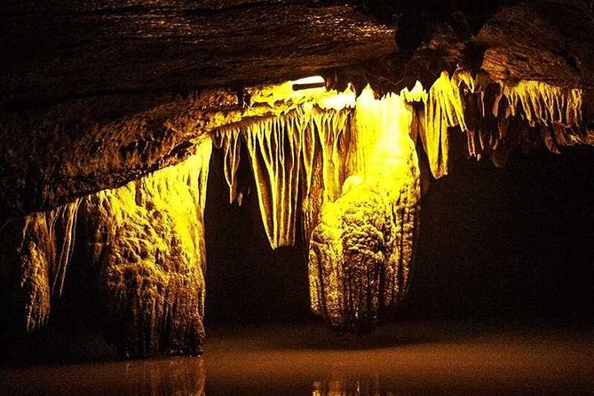 Hoa Lu - Trang An - Mua Cave- 1 Day Trip from Hanoi By Limousine and Small Group - Luxury Limousine Pickup From Hanoi: The Morning Setup
