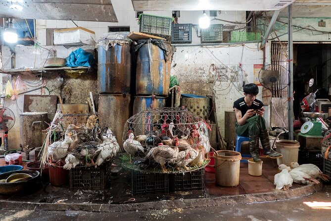 Into the Thieves Market Hanoi Photo Tour - Who this tour fits best, and who might want to pick something else
