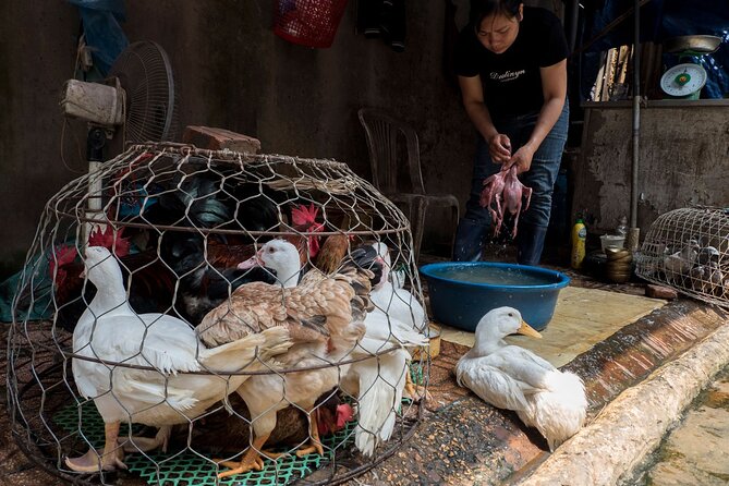 Into the Thieves Market Hanoi Photo Tour - Stop in Hai Ba Trung, the market where you can get lost on purpose