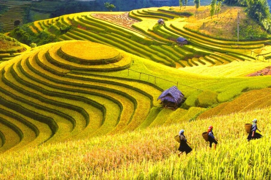 Journey Through Sapa Terraces & Traditions - Price and group size, what $20 buys you