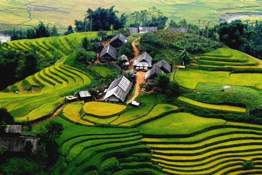 Journey Through Sapa Terraces & Traditions - Price and Logistics