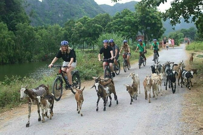 Luxury small Group Hoa Lu - Tam Coc - Mua Cave Max 6 - 8 pax/tour - Cooking class lunch: why eating what you make changes the whole trip