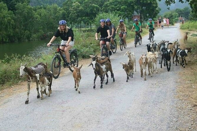 Luxury Small Group Tour in Tam Coc, Mua Cave, Bich Dong Pagoda - Guides and Drivers: What Their Style Suggests for Your Day