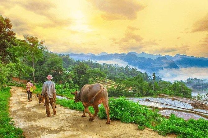 MAI CHAU 1 DAY TOUR | HIDDEN CHARM | SHARED or PRIVATE OPTIONS - Leaving Hanoi behind, with pickup and AC comfort