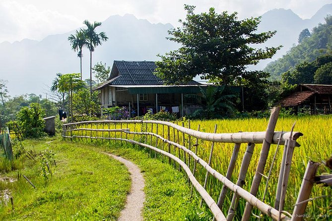 Mai Chau Nature and Village Private Day Tour - Price and Value: What $119 Covers, and What It Does Not
