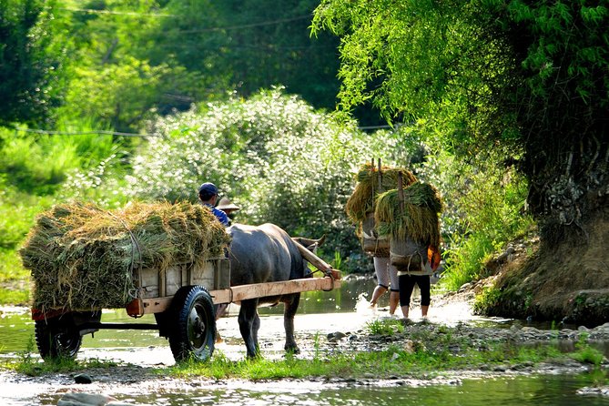 Mai Chau Private Day Tour: Hiking & Biking in Pristine Landscapes - Planning Your 12-13 Hour Mai Chau Day Trip From Hanoi