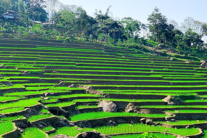 Mai Chau - Pu Luong 2 days - From Mai Chau to Pu Luong: the eco-lodge night that makes the trip feel complete