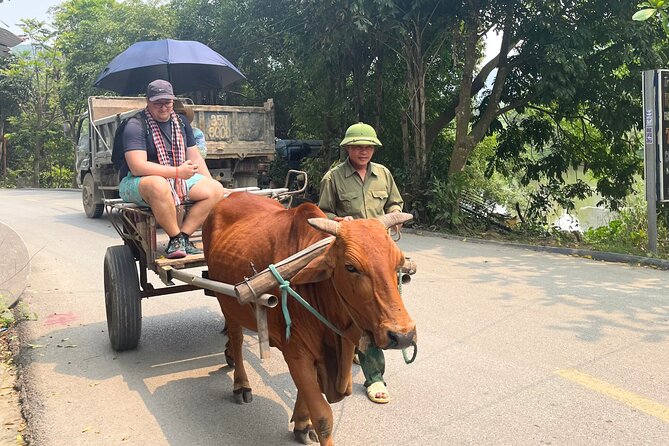 Majestic Ninh Binh Discovery: Mua Cave & Tam Coc private tour - Spice Garden Tamcoc lunch: the break your legs actually need