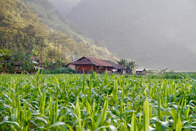 Majesty Of Untouched Northern Vietnam Tour 6 Days - Day 3: Dong Van Market, Hmong Life, and Ma Pi Leng Pass Views