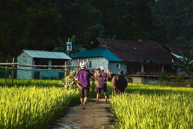 Majesty Of Untouched Northern Vietnam Tour 6 Days - Day 5: Ba Be Lake, Pac Ngoi Homestay, and Time on the Water