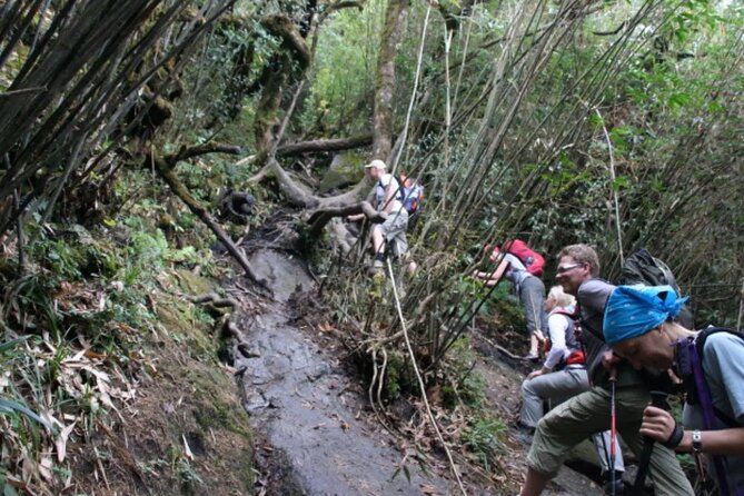 Mount Fansipan 2 Days Trek – Roof of Indochina - Day 2: the summit push around 6 AM, Fansipan Peak in about 1.5 hours