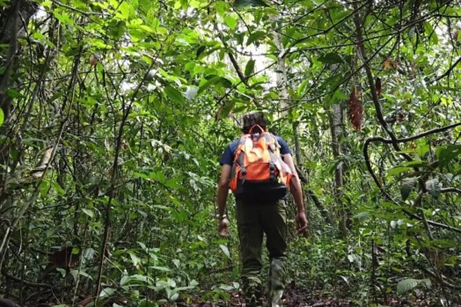Mount Fansipan 2 Days Trek – Roof of Indochina - Guides and porters: the real difference between a hike and an ordeal