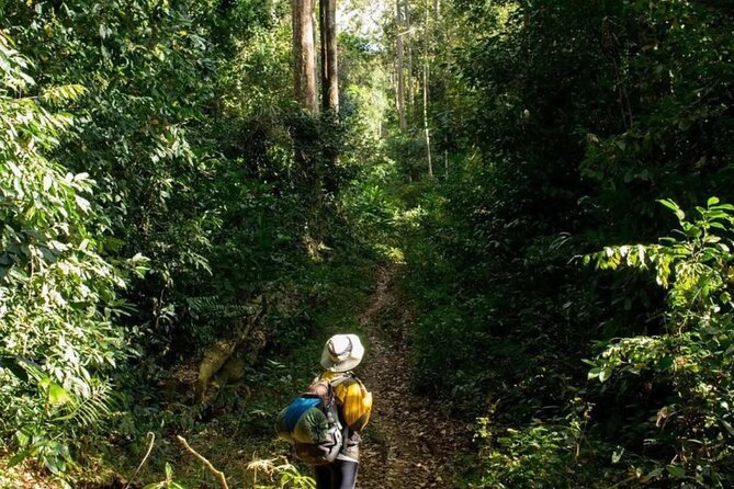 Mount Fansipan 2 Days Trek – Roof of Indochina - Price and logistics: what $185 gets you (and what it does not)