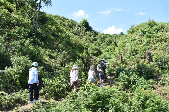 Muong Hoa Valley View & Village Trek in Sapa 1 Day - Muong Hoa Valley: the cliffside road feeling and quiet village views
