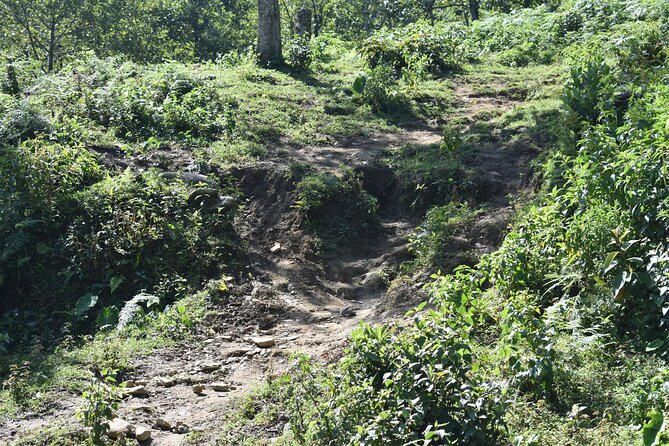 Muong Hoa Valley View & Village Trek in Sapa 1 Day - What the $53 price includes, and why it can be good value