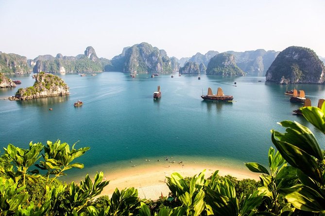 New Cruise Ha Long - CATAMARAN PREMIUM - Dark and Bright Cave: kayaking or bamboo boat, and what to expect