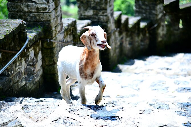 Ninh Binh 2 days 1 night Tour from Hanoi (Small Group of 9) - Price and Value: When $215 Feels Like a Smart Buy