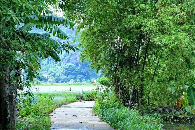 Ninh Binh 2 days 1 night Tour from Hanoi (Small Group of 9) - Thung Mham Bird Sanctuary and the Mua Cave Hike: The Day’s Big Payoff