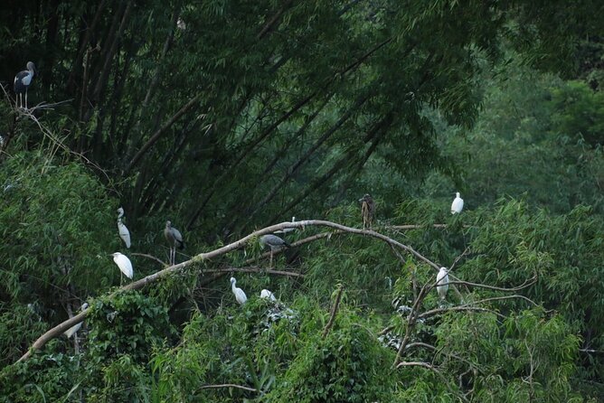 Ninh Binh 2 Days 1 Night with 4 Star Resort and Spa (Group 8) - Thung Nham Bird Park: the boat ride that changes the pace