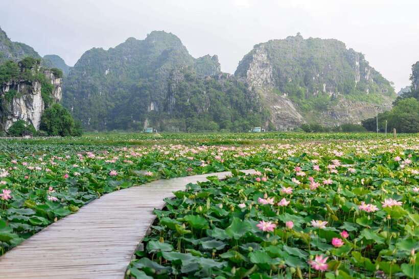 Ninh Binh : Bai Dinh Pagoda, Trang An, and Mua Cave Tour - Group energy and timing: why this feels efficient