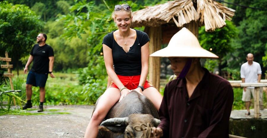 Ninh Binh: Buffalo riding, rice planting group tour - Buffalo Cave meet-up: the day starts fast and feels local