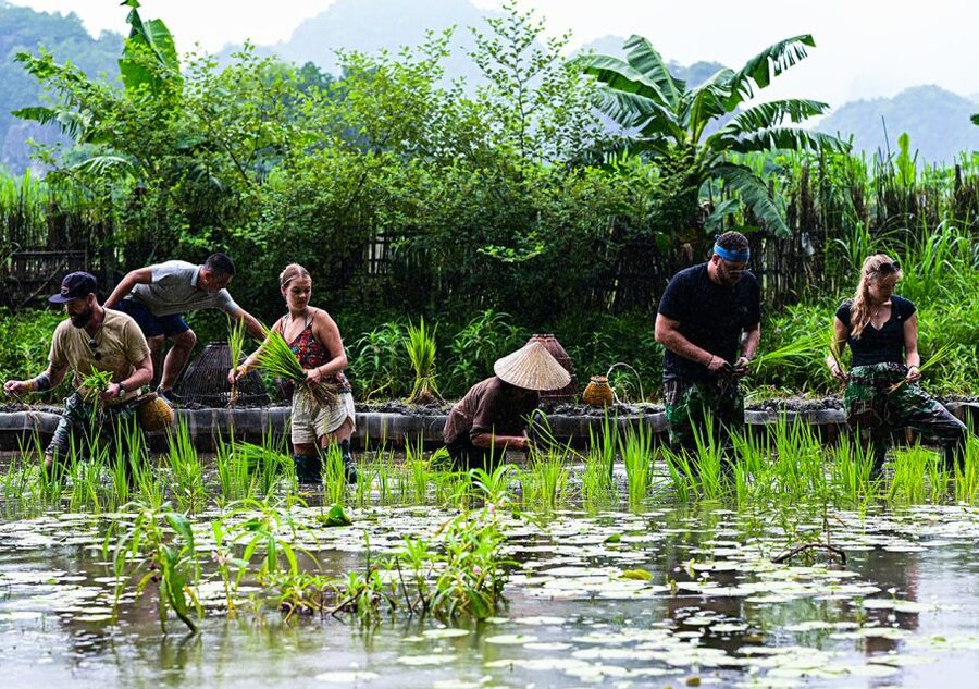 Ninh Binh: Buffalo riding, rice planting group tour - Waterfall bathing and Buffalo Cave: the calm break between activities