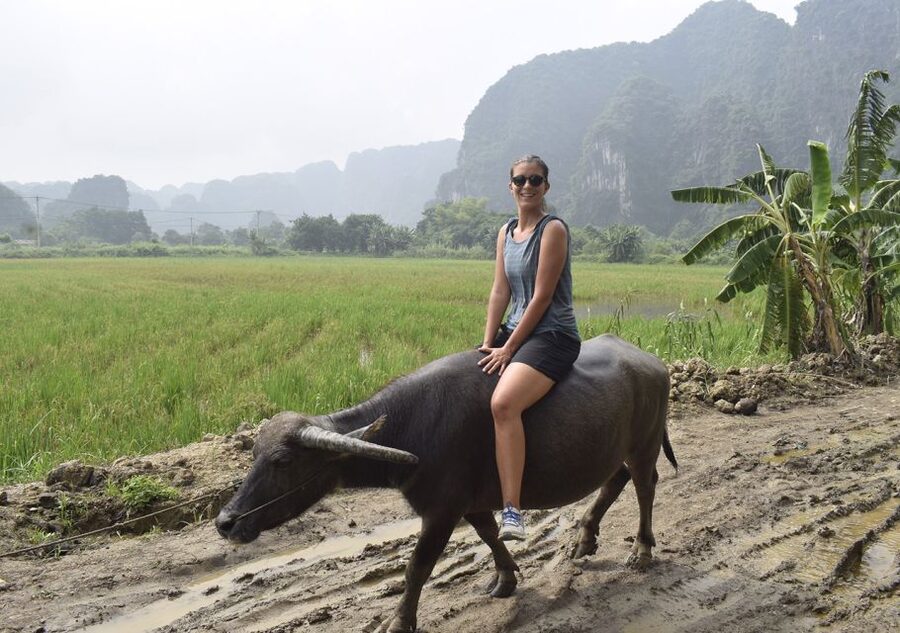 Ninh Binh: Buffalo riding, rice planting group tour - Tips and what to bring so your day stays fun