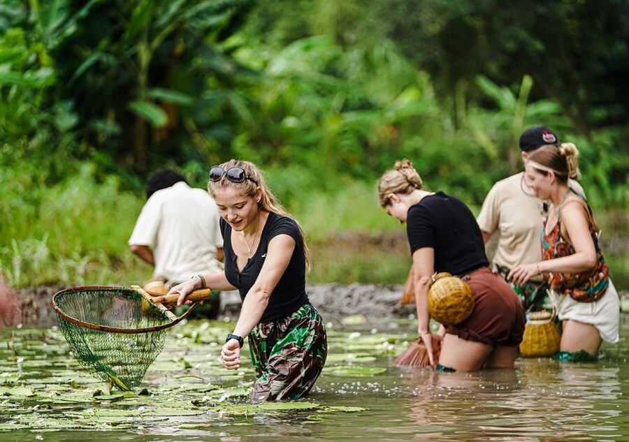 Ninh Binh: Buffalo riding, rice planting group tour - Who this tour fits best, and who might want a different option