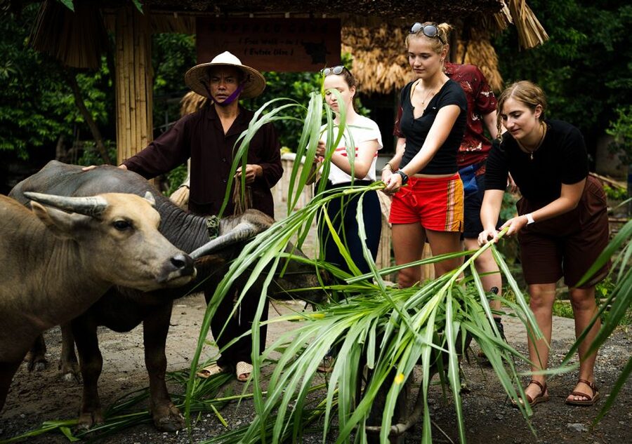 Ninh Binh: Buffalo riding, rice planting group tour - Fishing with nơm: hands-on, traditional, and strangely satisfying