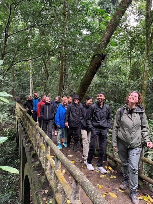 Ninh Binh: Cuc Phuong Jungle Hike & Wildlife Day Trip - Forest Lunch Inside Cuc Phuong: Fuel With a Calm Setting