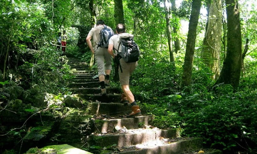 Ninh Binh : Cuc Phuong National Park One Day Group Tour - Lunch at the Park Entrance, Then Into Deeper Forest
