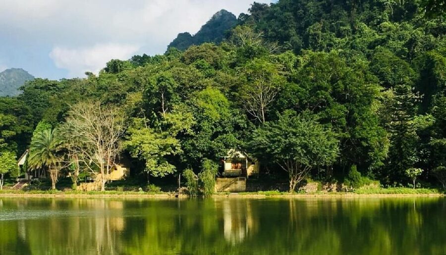 Ninh Binh : Cuc Phuong National Park One Day Group Tour - Returning to Tam Coc Around 16:30