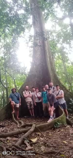Ninh Binh : Cuc Phuong National Park One Day Group Tour - Price and Value: Is $45 a Good Deal?