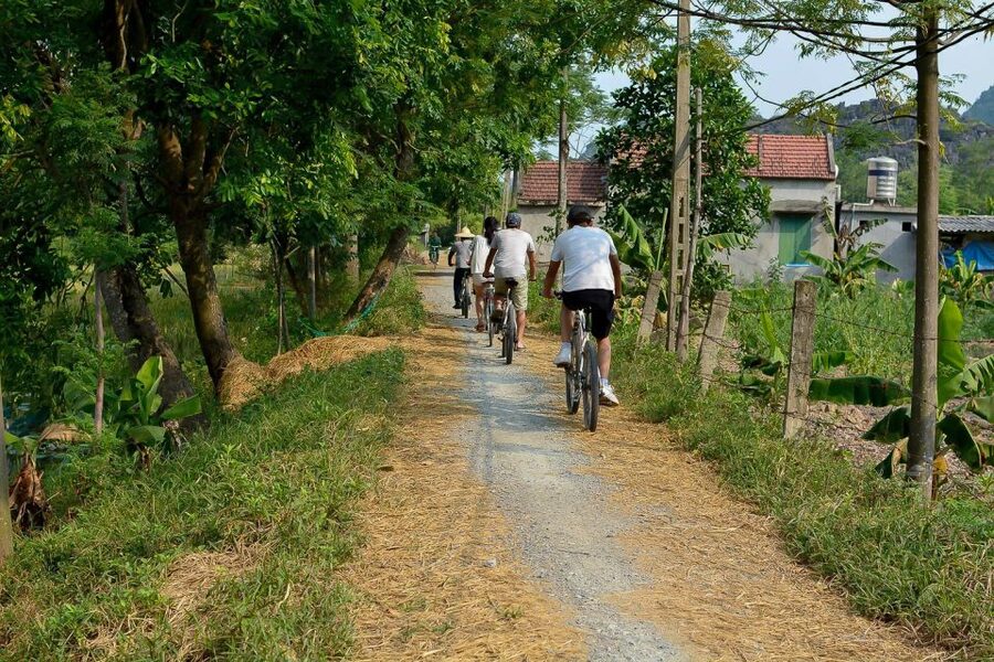 Ninh Binh Daily: Hoa Lu, Mua Cave, Tam Coc, Bike & Swimming - Tam Coc sampan through Hang Ca, Hang Hai, and Hang Ba