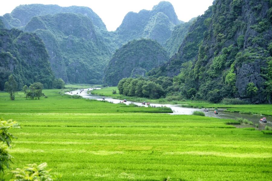Ninh Binh Daily: Hoa Lu, Mua Cave, Tam Coc, Bike & Swimming - Cycling the rice fields to Thai Vi Temple