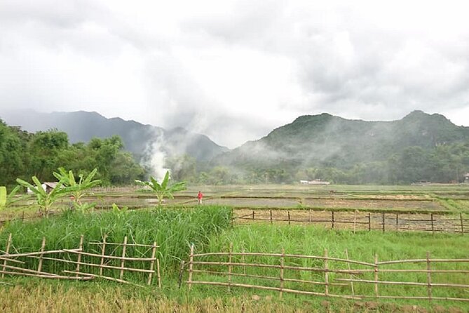 Ninh Binh Daily Tour All-Inclusive Bus, Guide, Lunch & Activities - Bai Dinh Pagoda: The Big, Record-Set Stop