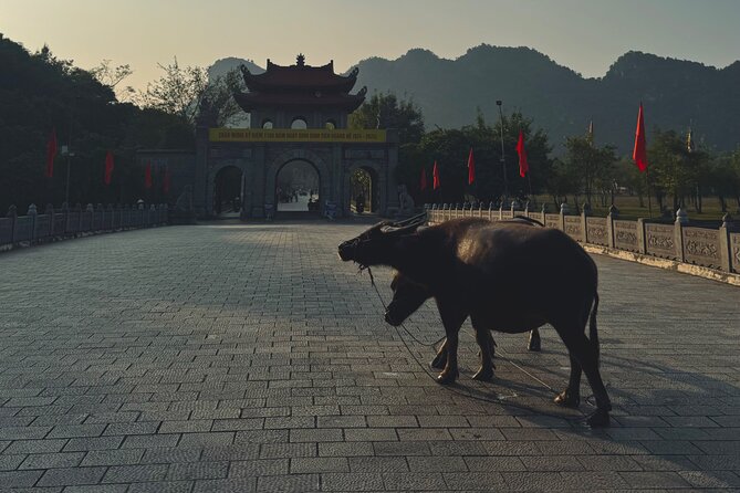 Ninh Binh Day Escape from Hanoi: Local Life, Connection & Tales - Small-Group Hanoi to Ninh Binh, With Wi-Fi and a Real Plan