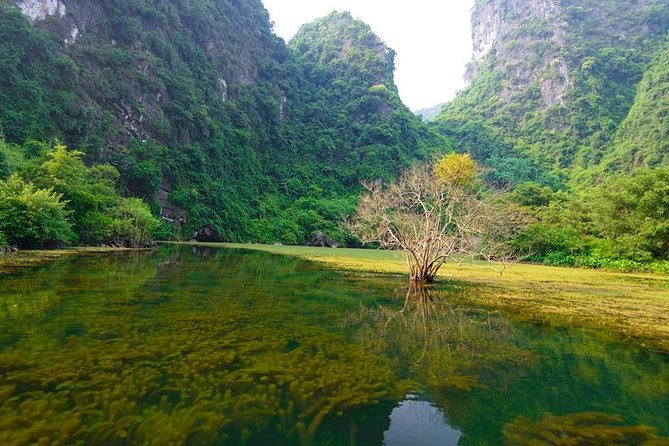 Ninh Binh Day Tour: Bai Dinh Trang An boat trip - Your Guide and Group Size: Small Team, Clear Explanations