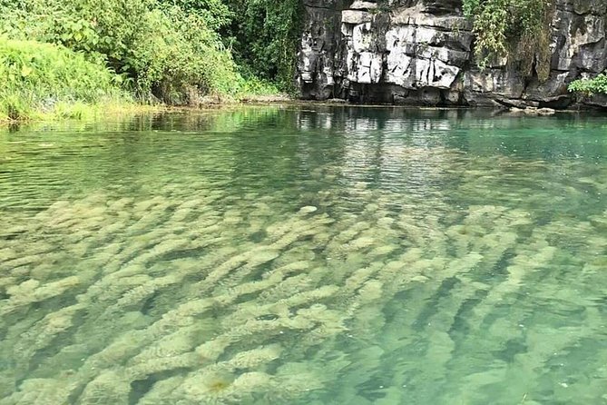 Ninh Binh Day Tour: Bai Dinh Trang An boat trip - Timing: A 10-Hour Day That Still Feels Manageable