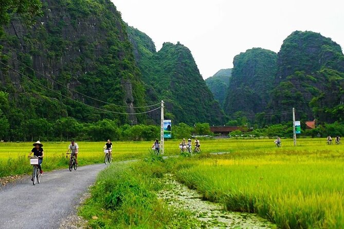 Ninh Binh Day Tour Tam Coc Mua Cave Hoa Lu Buffet Lunch Limousine - Mua Cave: 500 steps, the viewpoint over Tam Coc and Ninh Binh