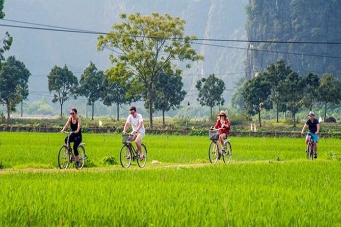 Ninh Binh Day Tour to Hoa Lu Trang An Mua Cave with Buffet Lunch - Cycling in the countryside: fun, but expect uneven roads