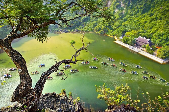 Ninh Binh Day Tour To Visit Hoa Lu - Trang An/Tam Coc - Mua Cave - Bike Through the Villages, Then Refuel With a Proper Buffet Lunch