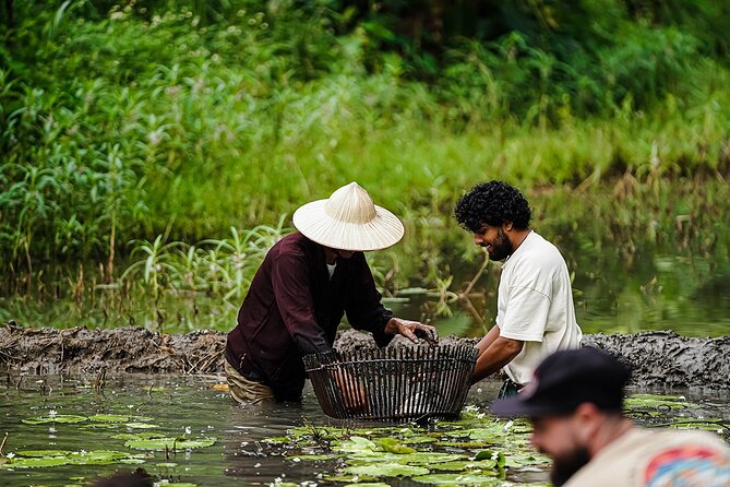 Ninh Binh eco group tour - Buffalo riding, rice planting, fishing - Tam Coc at Buffalo Cave: why this feels more local