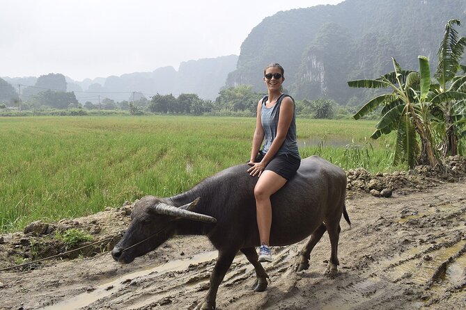 Ninh Binh eco group tour - Buffalo riding, rice planting, fishing - Price and value: what you get for $41.41