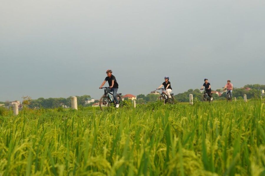 Ninh Binh: Full-Day Small Group of 9 Guided Tour from Hanoi - Price and What Makes $82 Feel Fair
