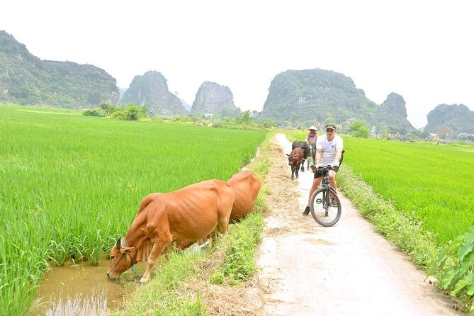 Ninh Binh Full-Day Small Group of 9 Guided Tour from Hanoi - Price and What You Get for $85