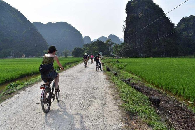 Ninh Binh Full Day Tour: Bai Dinh Pagoda - Trang An - Mua Cave - Value check: is $49 really fair for Bai Dinh, Trang An, and Mua Cave?