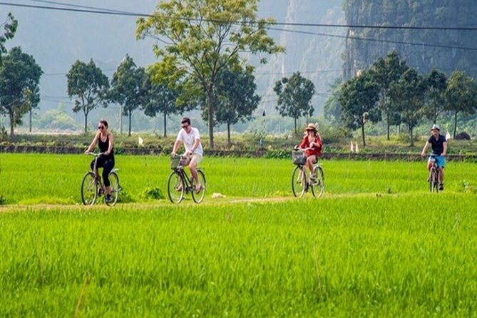 Ninh Binh Full Day Tour to Hoa Lu Tam Coc Mua Cave Buffet Lunch - Stop 1: Hoa Lu Ancient Capital and the Dinh and Le dynasties